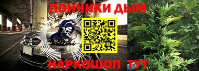 крисы Можга