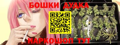 крисы Можга