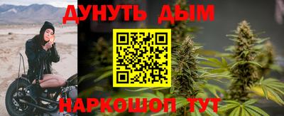 крисы Можга