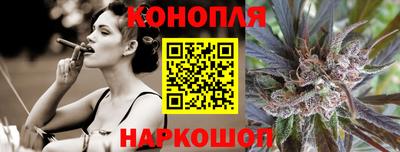 крисы Можга