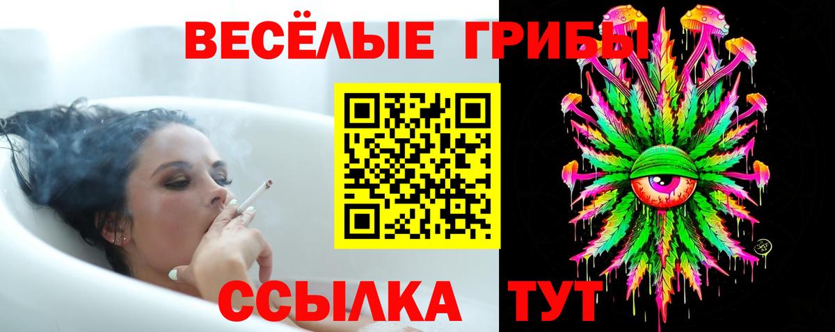 Холмск  Галлюциногенные грибы Cubensis  Галлюциногенные грибы мухоморы  купить наркоту  Вход с VPN 